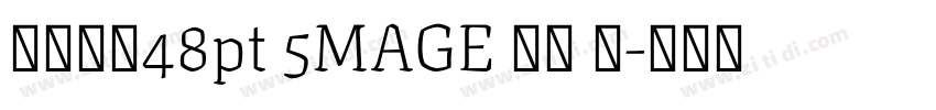 字体大小48pt 5MAGE 预览 简字体转换